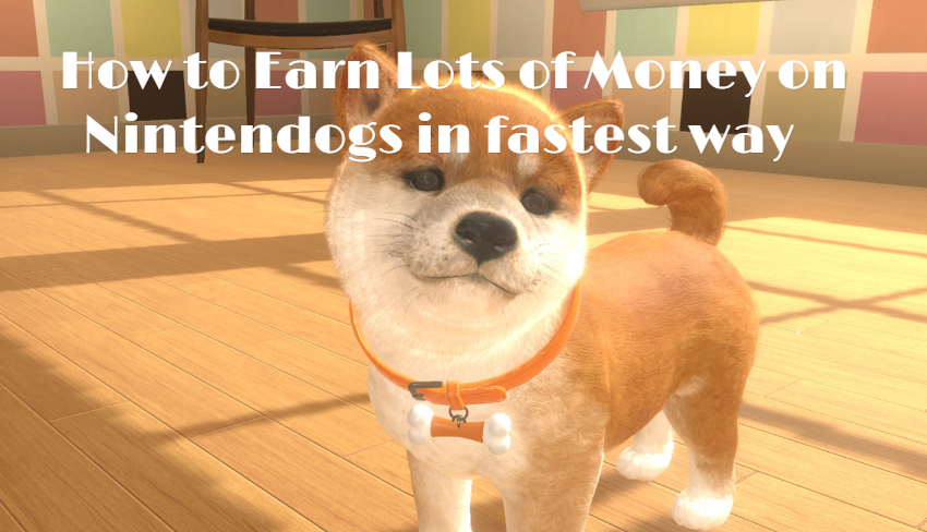 How to Earn Lots of Money on Nintendogs in fastest way