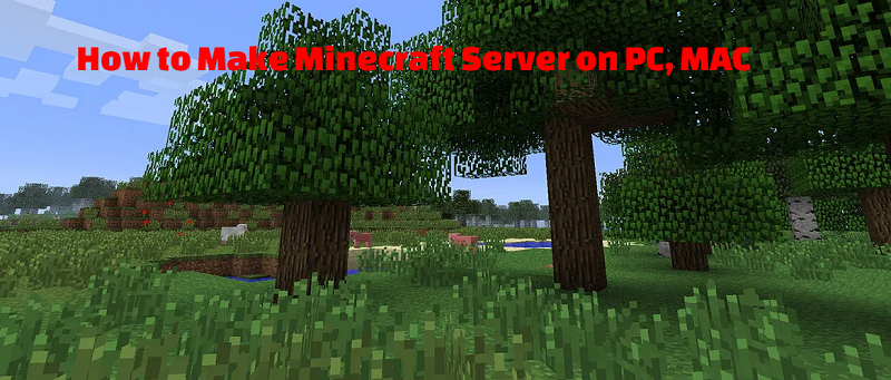 How to Make Minecraft Server on PC, MAC